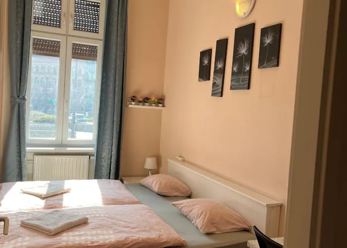 民宿 好运民宿 *